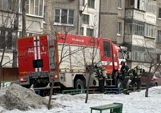 В Вологде полицейские раскрыли кражу ювелирных изделий. Новости Вологды. Происшествия