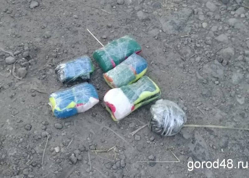 В липецкую колонию пытались перебросить набор сотовых телефонов В липецкую колонию пытались перебросить набор сотовых телефонов
