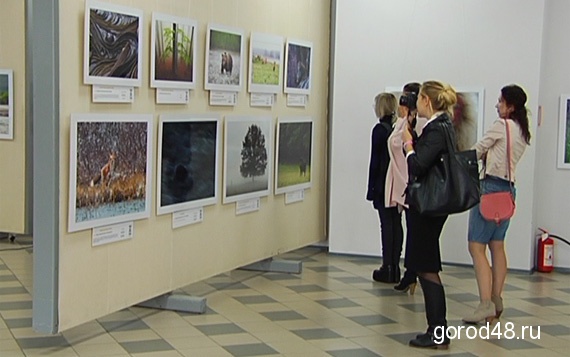 В Липецке можно увидеть лучшие фотографии дикой природы. Открылась выставка "Золотая черепаха" В Липецке можно увидеть лучшие фотографии дикой природы. Открылась выставка "Золотая черепаха"