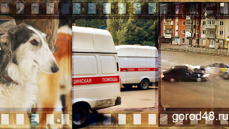 Липецкая вечЁрка: две смерти от COVID-19, таран такси и скандал с псовой охотой Липецкая вечЁрка: две смерти от COVID-19, таран такси и скандал с псовой охотой