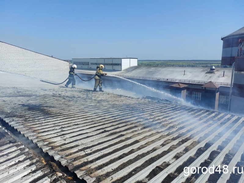 Пожар на сахарном заводе в Ельце потушен