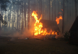 Садовый дом и гараж с надворными постройками сгорели в Липецкой области