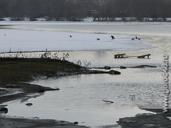 Завтра ожидается дождь и мокрый снег Завтра ожидается дождь и мокрый снег