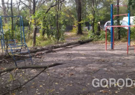 На проспекте Победы сухое дерево упало на детскую площадку