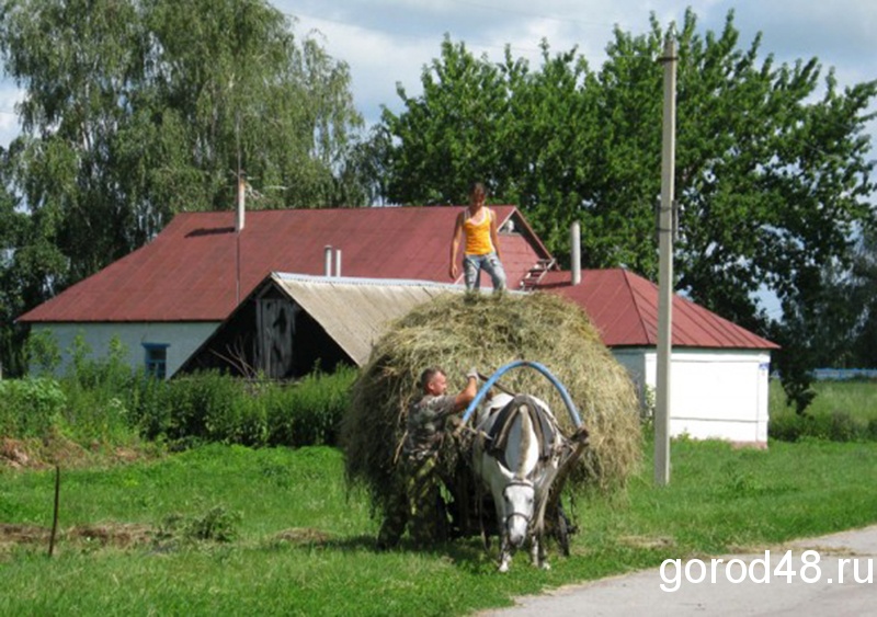 Погода в Липецкой области возвращается в климатическую норму Погода в Липецкой области возвращается в климатическую норму