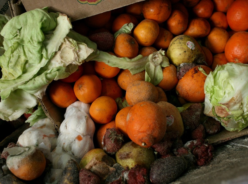 В Липецкой области забраковали 29 партий плодоовощной продукции В Липецкой области забраковали 29 партий плодоовощной продукции