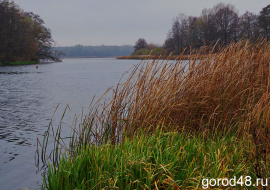 В пруду села Троицкое утонул 65-летний рыбак