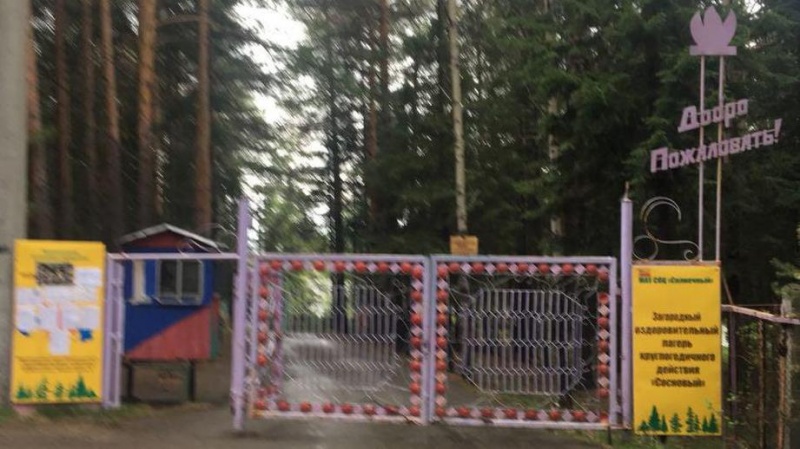 На Урале завели дело о массовом отравлении детей в лагере На Урале завели дело о массовом отравлении детей в лагере