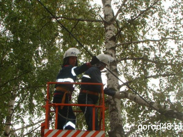 12 метровое или 12 метровое. 12 Метровое дерево. Спасатели Липецк. Дерево упало на провода. Описание аварийного дерева.