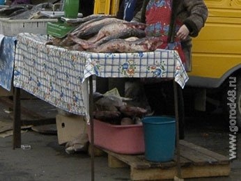 В Липецке забраковали рыбу В Липецке забраковали рыбу