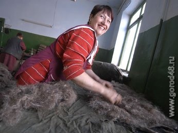 В Ельце освоили выпуск микроваленок В Ельце освоили выпуск микроваленок