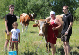 Соцконтракт: от минифермы до производства шоколада