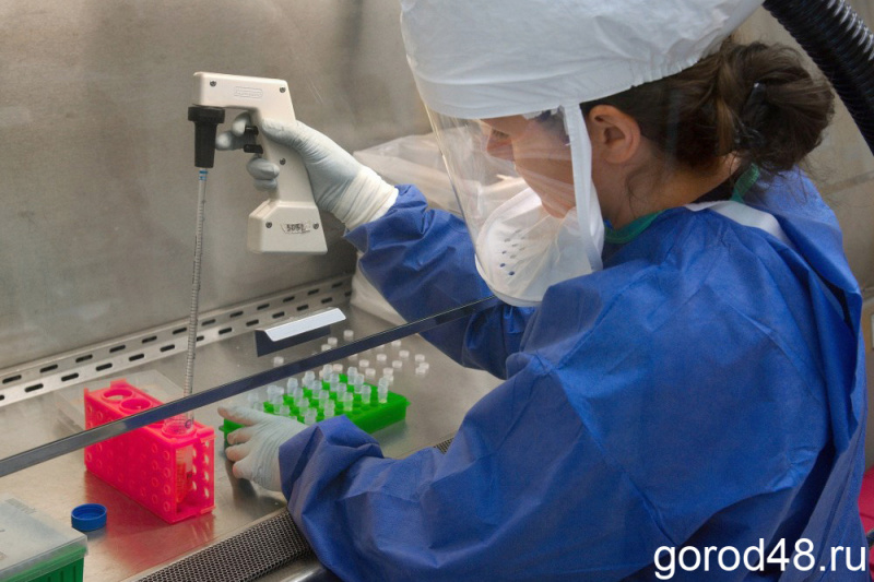 14 человек заболели коронавирусом за прошедшие сутки в Липецкой области