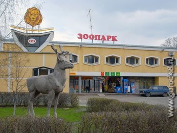 В Липецком зоопарке организуют праздник лягушек В Липецком зоопарке организуют праздник лягушек