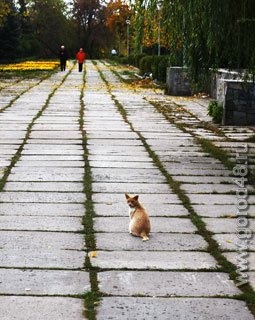 В выходные холодные ночи В выходные холодные ночи