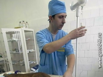 100 бешеных животных 100 бешеных животных