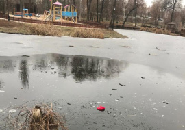 Вопрос с дополнительным ограждением пруда в Петровском парке — на повестке елецкой мэрии