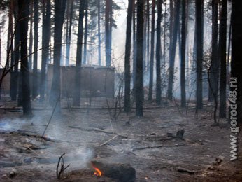 Пожарные выезжали на возгорания 78 раз Пожарные выезжали на возгорания 78 раз