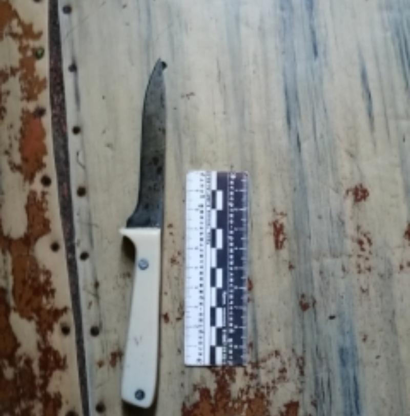 32-летнего жителя Липецкой области задержали после неудавшегося убийства матери 32-летнего жителя Липецкой области задержали после неудавшегося убийства матери