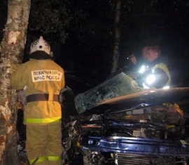 В Ельце автомобиль врезался в дерево В Ельце автомобиль врезался в дерево