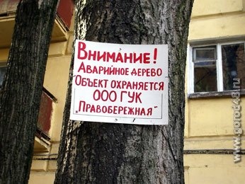 Война за дерево Война за дерево