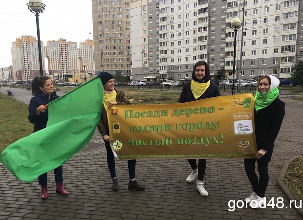 Предприятия Группы НЛМК присоединяются к программе «Стальное дерево» Предприятия Группы НЛМК присоединяются к программе «Стальное дерево»