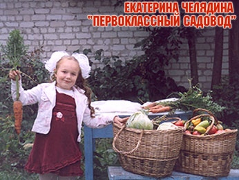 Подведены итоги конкурса «Первоклассное фото» телекомпании ТВК Подведены итоги конкурса «Первоклассное фото» телекомпании ТВК