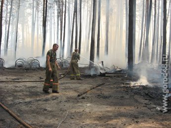 Добровольцы приступили к тушению пожаров Добровольцы приступили к тушению пожаров