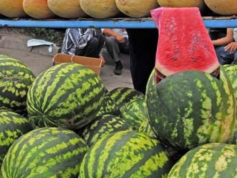 В Липецке забракована тонна арбузов В Липецке забракована тонна арбузов