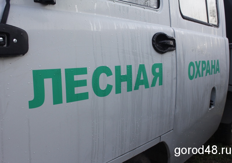 На 20 дней введено ограничение на посещение лесов На 20 дней введено ограничение на посещение лесов