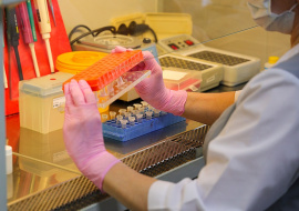 За сутки в Липецкой области выявили 442 случая коронавируса, 8 человек от него умерли