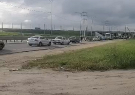 Спасение поросят собрало пробку на Лебедянском шоссе
