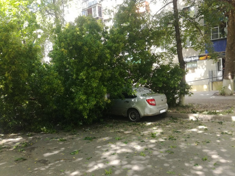 В Липецке дерево упало на машину В Липецке дерево упало на машину
