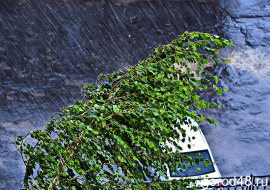 В Липецкой области днем небольшие дожди и до +24