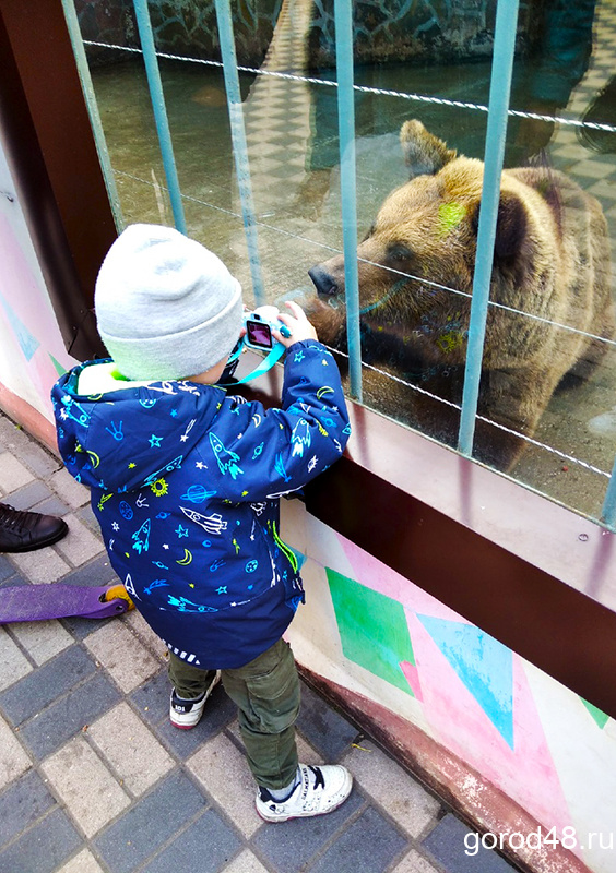 Липецкий зоопарк прошел лицензирование по новым правилам