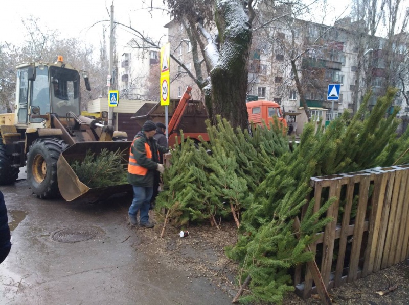 С улиц города убрали полторы сотни елок С улиц города убрали полторы сотни елок
