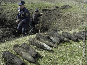 В Липецкой области собрали взрывоопасный урожай В Липецкой области собрали взрывоопасный урожай