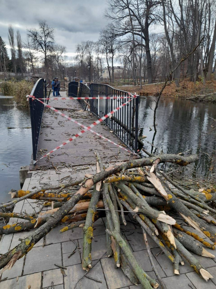 Шквалистый ветер в Ельце наломал дров на 400 000 рублей
