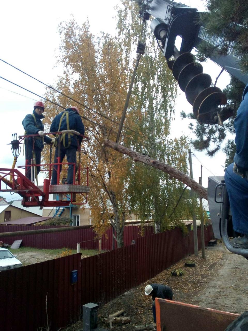 В микрорайоне ЛТЗ сосна рухнула на линию электропередачи