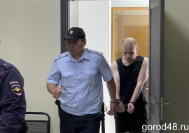 Дело подозреваемого в убийстве 17-летней девушки в Ельце Данилы Ермакова возвращено прокурору