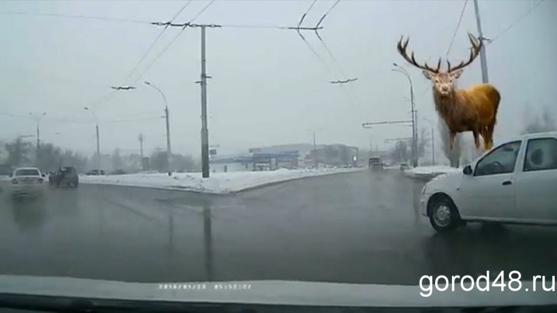 Липецкий водитель чуть не устроил аварию на кольце Липецкий водитель чуть не устроил аварию на кольце