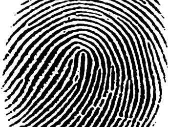 В Ельце обнаружен труп 29-летнего мужчины В Ельце обнаружен труп 29-летнего мужчины