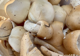 В Липецке семейная пара отравилась консервированными грибами