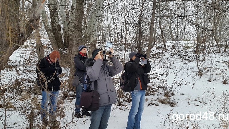 50 гоголей нашли в Липецкой области 50 гоголей нашли в Липецкой области