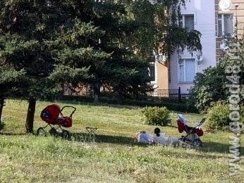 В выходные жара, дожди и грозы В выходные жара, дожди и грозы