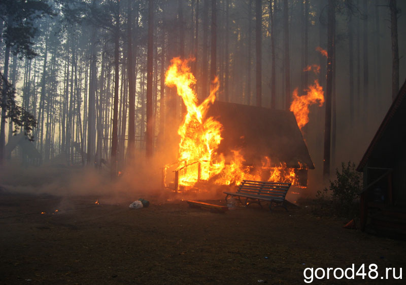 В Липецкой области ожидается высокая пожароопасность лесов