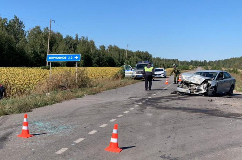 Серьёзная авария под Долгоруково: 5 человек пострадали, трое госпитализированы