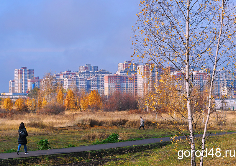 В Липецкой области сухо, днем до +5 В Липецкой области сухо, днем до +5