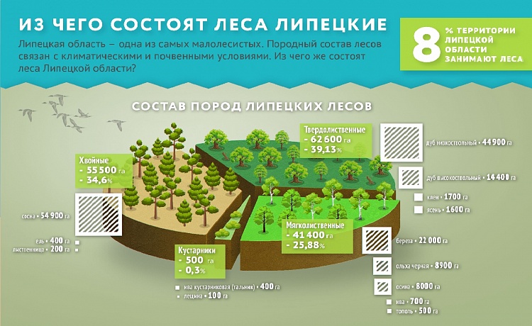 Проект освоения лесов липецк