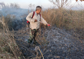 200 квадратных метров поля горели в Тербунском районе